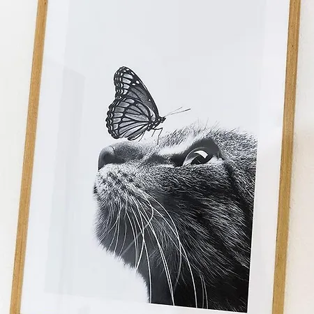 Sternstunde * Bensersiel