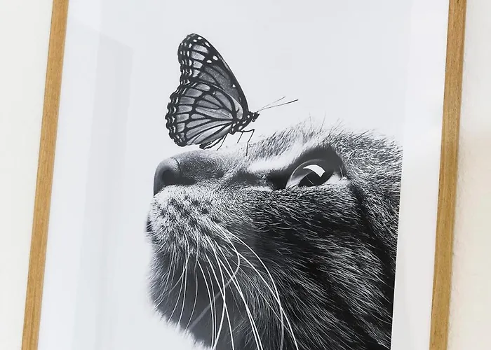 Фермерский дом Sternstunde *